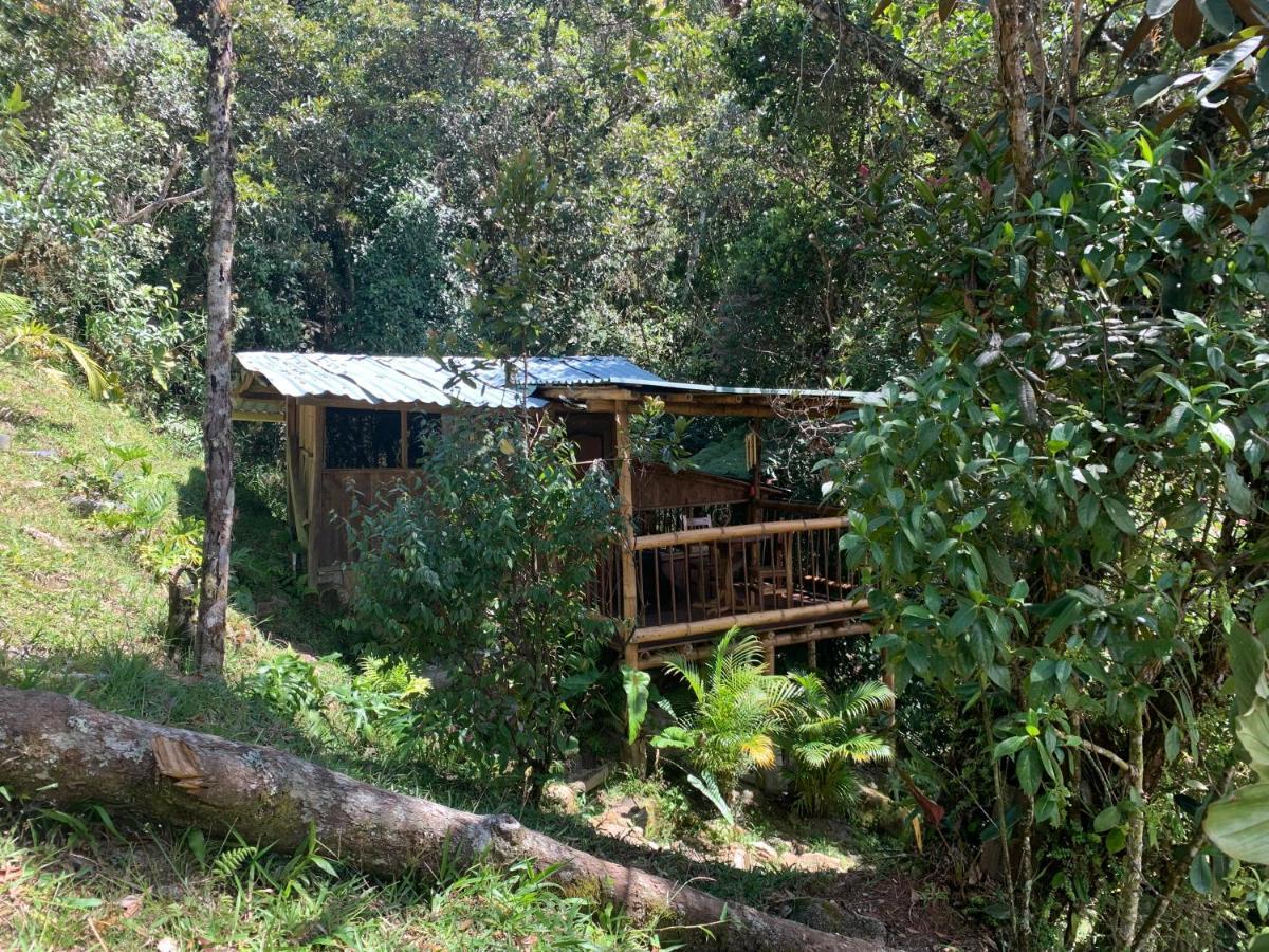 La Casa De Loto Retreat Guatapé Kültér fotó