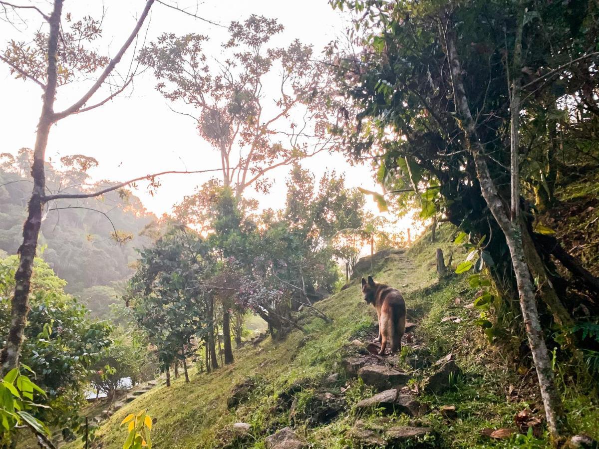 La Casa De Loto Retreat Guatapé Kültér fotó